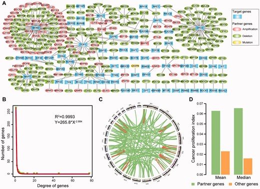 (A) SV network related to drug resistance. Each node denotes a gene: a drug target (rectangle nodes) or an SV partner gene (oval nodes) of a drug target. The detail information of alteration state of the partner genes in TCGA are recorded in the Supplementary Tables S2 and S3. (B) Distribution of the degree of genes in the SV network. (C) Genomic distance between SV pairs. Each region along the circle represents one of the 24 chromosomes. Each edge denotes an SV interaction. (D) Cancer proliferation index of partner genes and other genes. Here, other genes denote the genes that are not in the SV network. A colour version of this figure is available online at BIB online: https://dbpia.nl.go.kr/bib.