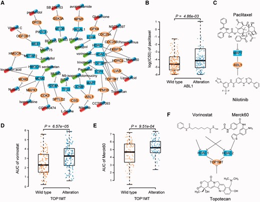 Combinational anti-cancer therapies. (A) Network of potential combinational anti-cancer therapies. Each node denotes a gene. Capsules denote drugs targeting partner genes (oval nodes) and target genes (rectangle nodes), respectively. Each edge without direction represents an SV interaction. Each T line denotes a targeting relationship between a drug and target gene. For clarity, partner genes with one targeted drug are presented. Additional details are presented in Supplementary Table S5. (B) Cell lines with ABL1 alteration are resistant to the MAPT-targeted paclitaxel. The difference of IC50 between the cell lines with or without alterations in ABL1 was tested by one-sided Wilcoxon rank sum test. (C) Combination of paclitaxel targeting MAPT with nilotinib targeting ABL1. (D) and (E) Cell lines with TOP1MT alteration are resistant to the HDAC inhibitors vorinostat (D) and Merck60 (E). The difference of AUC between the cell lines with or without alterations in TOP1MT was tested by one-sided Wilcoxon rank sum test. (F) Combination of HDAC inhibitors with topotecan. A colour version of this figure is available online at BIB online: https://dbpia.nl.go.kr/bib.