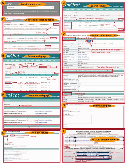 User interface of the SmProt database. (A) A quick search box on the home page. (B) A detailed search function provided in the Search web page. (C) The detailed information of search results. (D) The detailed information of small proteins curated in SmProt. (E) The Browse web page. (F) The Download web page. (G) The Submit web page. (H) The BLAST service provided in the Blast web page. (I) The local UCSC Genome Browser for visualization.