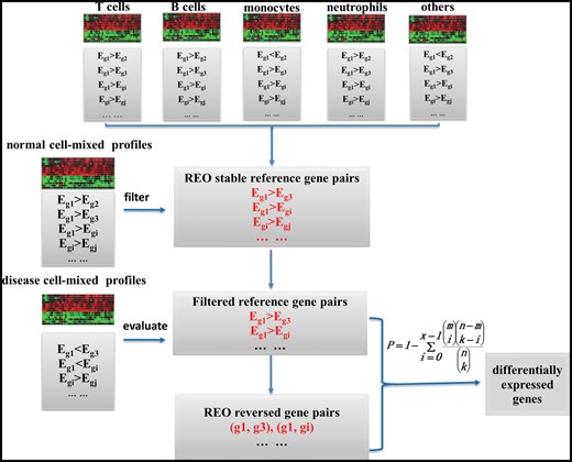The flow chart of the Ref-REO method. The Ref-REO algorithm consists of the following four steps: (1) detection of gene pairs with stable REOs in normal leukocyte subtypes; (2) filtration of the stable gene pairs by mixed-cell normal blood samples; (3) extraction of the filtered stable gene pairs, which have reversal REOs in mixed-cell disease blood samples; (4) identification of the DEGs.
