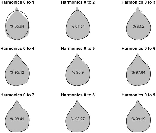 Outline reconstruction from EF analysis applied to the outline coordinates of a random leaf. The original outline corresponds to the gray shape, while reconstructed leaves are solid black outlines. The percentage of an actual leaf shape explained by the reconstructed shape, as seen in the leaf shape, increases with the harmonic order of EF function.