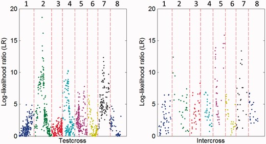 The genetic map locations of QTLs that control Fourier parameters throughout eight linkage groups of the P. mume genome. The cases for testcross markers and intercross markers are given, respectively, because they have different critical thresholds (15.0 for testcross markers and 14.8 for intercross markers at a marginal significance level) determined from permutation tests.