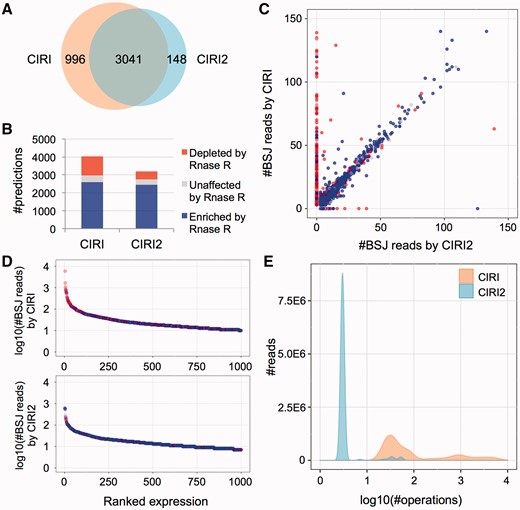 Performance comparison between CIRI and CIRI2. (A) Overlap of circRNA predictions by CIRI2 and CIRI on Hs68 data sets. (B) RNase R resistance of the CIRI and CIRI2 predictions for Hs68 data sets. (C) RNase R resistance and BSJ read count detected for each prediction by CIRI and CIRI2. Only predictions with BSJ read counts ≤150 are shown. (D) RNase R resistance of top 1000 most abundant predictions. Blue nodes indicate the circRNAs enriched by RNase R treatment, whereas red nodes indicate the circRNAs depleted by RNase R treatment. (E) Comparison of computing operation counts of CIRI and CIRI2 for the Hs68 data set (SRR444975).