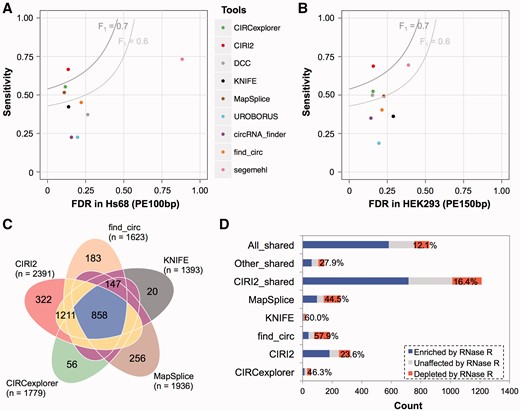 Comparison of CIRI2 and other eight circRNA detection methods. (A) Sensitivity and FDR of CIRI2 and other eight methods for the Hs68 data sets. (B) Sensitivity and FDR of CIRI2 and other eight methods for the HEK293 data sets. (C) Overlap of circRNA predictions by CIRI2 and other four frequently used methods on the HEK293 data sets. (D) RNase R resistance of the exotic and shared predictions by CIRI2 and the other four frequently used methods.