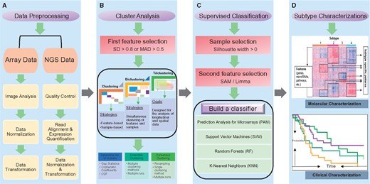 Molecular subtyping of cancer workflow. The workflow consists of four major steps: (A) Data preprocessing. Array data preprocessing include image analysis, data normalization and transformation. Next-generation sequencing data preprocessing contains the following steps: quality control, read alignment, expression quantification, data normalization and transformation. (B) Cluster analysis. A first feature selection is performed with a cutoff on SD (e.g. SD > 0.8) or median absolute deviation (MAD) (e.g. MAD > 0.5). Clustering is usually applied to either feature dimension or sample dimension, biclustering at both dimensions and triclustering at three dimensions (feature, sample and time). After (bi/tri) clustering, the optimal number of (bi/tri) clusters is determined by measurement such as gap statistics, cophenetic coefficients and CDF. Also, ensemble and consensus clustering have been proposed to enhance the robustness of (bi/tri) clustering. (C) Supervised classification. To build the best possible classifier, a sample selection (Silhouette width > 0) and a second feature selection (SAM/Limma) processes are applied. Various algorithms such as PAM, SVM, Random Forests (RF) and K-nearest neighbors can be used to build classifiers. (D) Subtype characterizations. A heatmap is used to represent the molecular characterizations, in which rows are features (genes, miRNAs, pathways, etc.) and columns are samples. Here, features are subtype-specific features; samples are sorted according to their subtype numbers. A Kaplan–Meier survival plot is used to represent the clinical characterizations, in which x-axis is the survival time, and y-axis is the probability of an event (i.e. death).