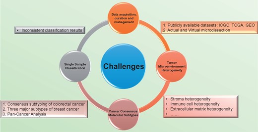 Four major challenges in the molecular subtyping of cancer and associated solutions/problems. The first challenge is data acquisition, curation and management. Data from publicly available data sets, such as ICGC, TCGA and GEO can increase sample size or be used as validation data sets. Low tumor cellularity can be addressed by physical and virtual microdissection. The second challenge is TME heterogeneity. The TME includes immune cells, blood vessels, fibroblasts and ECM, which are all exhibit heterogeneity at some level. The third challenge is the lack of consensus molecular subtypes. Currently, we only have three examples of consensus subtyping studies: colorectal cancer, breast cancer and the TCGA’s pan-cancer study. The last challenge is the problem with single-sample classification. Currently applied SSPs may yield inconsistent classification results.