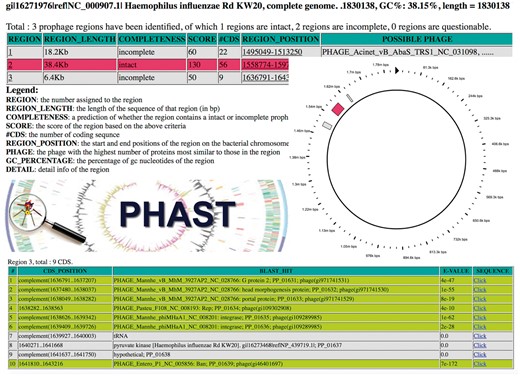 A montage of PHAST output images. A colour version of this figure is available at BIB online: https://academic.oup.com/bib.