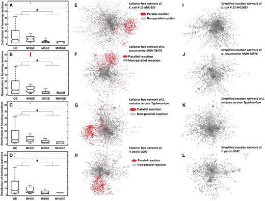 Simplified reaction networks. (A–D) The number of reactions catalyzed by specific types of enzymes in E. coli K-12 (n = 1258, two-tailed Student’s t-test, *P <1.27E-11), K. pneumoniae MGH (n = 1227, two-tailed Student’s t-test,*P <6.92E-5), S. enterica serovar (n = 1269, two-tailed Student’s t-test, *P <4.74E-11) and Y. pestis (n = 813, two-tailed Student’s t-test, *P <1.19E-6), respectively, where GE is for the set of reactions each catalyzed by exactly one enzyme; MHGE is for reactions each catalyzed by anyone in a group of homologous enzymes; MSGE for reactions each catalyzed by multiple enzymes; and MHSGE for reactions each catalyzed by any set of multiple enzymes in a collection of multiple such sets. (E–H) Highlighted parallel reactions in the currency metabolites-free reaction network for each of the four species. (I–L) SRN containing one large and dense subnetwork for each of the four species.