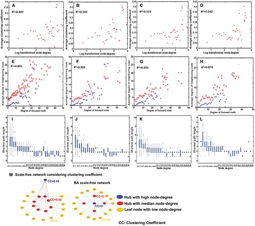 Clustering coefficient distribution revealing that each reaction network has one large, densely connected subnetwork. (A–D) The distribution of the clustering coefficient of the reaction network versus log-transformed node degree for E. coli K-12, K. pneumoniae MGH, S. enterica serovar and Y. pestis, respectively. (E–H) The degree Dn of node Vn versus the average degree D^mof its neighbors Vm in the reaction network (red dots) for each of the four species, along with blue dots representing the corresponding predicted average degree of the neighbors, where the x-axis represents all the nodes with a specific node degree, and the y-axis is the average node degree across all the corresponding neighboring nodes. (I–L) The node degree versus the average shortest path length of nodes with a specific degree for the four species. (M) A schematic illustration of a (simplified) reaction network versus a BA scale-free network.
