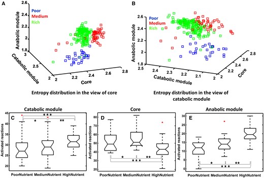 FBA and entropy of gene expression profiles. (A and B) Entropy distribution for gene expression profiles of the three subnetworks when treated with three types of nutrients. (A)The front view shows the nutrient-specific entropy distribution of genes in the core; the side view gives nutrient-specific entropy distribution of genes in the catabolic module; and the top view displays the nutrient-specific entropy distribution of genes in the anabolic module. (B) The three views are defined similarly but with catabolic genes in the front, core genes on the side and anabolic genes in the top. (C–E) Boxplots of the numbers of the activated reactions for the catabolic module (n = 41, one-way ANOVA, P < 9.18E-3; multiple comparison using Tukey's post hoc test, *P = 0.59 no significant, **P < 0.01 and ***P < 0.04), core (n = 41, one-way ANOVA, P < 6.52E-13; multiple comparison using Tukey's post hoc test, *P = 0.041, **P < 2.51E-5 and ***P < 1.7E-3) and anabolic module(n = 41, one-way ANOVA, P < 8.74E-10; multiple comparison using Tukey's post hoc test, *P = 0.012, **P < 0.01 and ***P < 1.3E-5), when treated with three different types of nutrient.