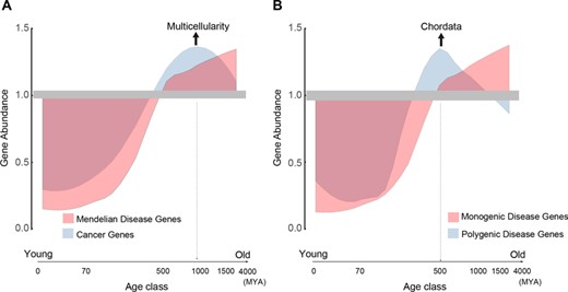 Relative abundance of human cancer and disease genes across a long phylogenetic time scale spanning ∼4000 million years. (A) CGs versus DGs. (B) MDGs versus PDGs. Suppose that pi is the percentage of cancer (disease) genes at age class i and p is the percentage of entire cancer (disease) genes across all age classes, gene abundance is formulated as the ratio of pi to p, indicating the relative abundance of cancer (disease) genes for any given age class, where gene abundance >1 means over-representation and gene abundance <1 means under-representation.