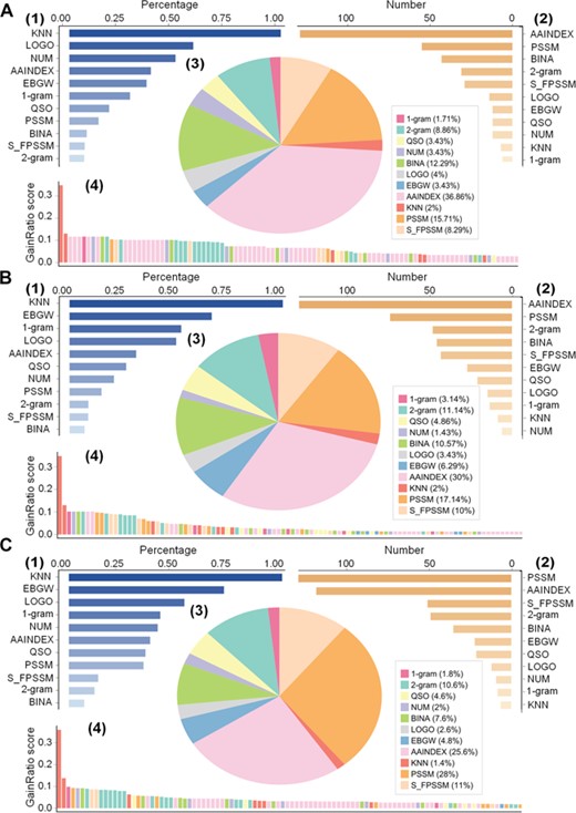 Distribution analysis of generated optimal feature sets across the three species. Panels (A), (B) and (C) illustrate distributions of feature types included in the optimal feature sets for E. coli, M. musculus and H. sapiens, respectively. In each panel (A, B and C), (1) and (2) show the percentage and the number, respectively, of each feature type selected in the optimal feature set, (3) depicts the proportion of the types of features selected in the optimal feature set while (4) provides the GainRatio score for the top 100 selected features in the optimal feature set.