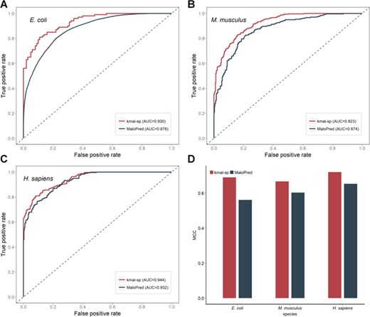 Performance comparison between our proposed method kmal-sp and the state-of-the-art method MaloPred for predicting malonylation sites. (A), (B) and (C) ROC curves of both methods on the independent test for predicting malonylation sites of E. coli, M. musculus, and H. sapiens, respectively. (D) histograms showing the performance of kmal-sp and MaloPred in terms of MCC on the independent test.