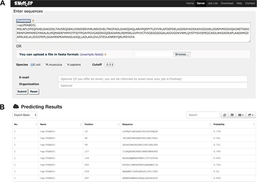 Screenshot of the online web server kmal-sp: (A) the user submission interface and (B) the predicted result for a case study protein sequence as input.