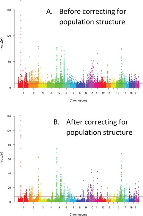 Correcting for structure with PCA in GWAS–Manhattan plots. Before correcting for structure too many significant SNPs found that could be false positives (above the horizontal line or the genome wide significance level) compared to after population structure correction. A. Before correcting for population structure, B. After correcting for population structure.