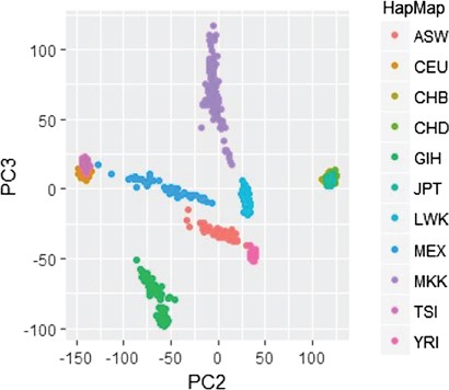 Identifying genetic structure via PCA and HapMap with 11 populations. Linear PCA differentiates 8 subgroups out of 11 populations.