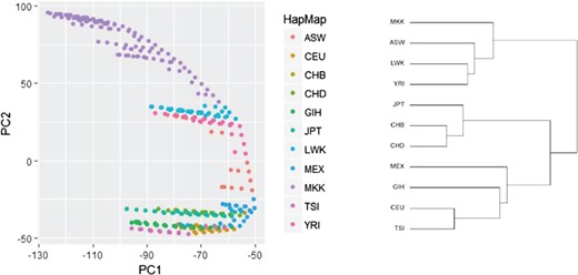 Identifying genetic structure via ncMCE approach on HapMap data (reanalysis). The PC plots ordering and the phylogenetic tree structure agree substantially.