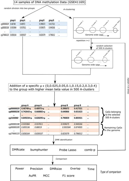 Overall workflow of the analysis.