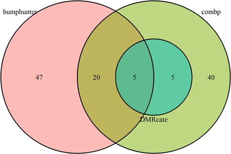 Significant DMRs identified by the four methods under best performing parameter settings for the comparison between male and female tumor samples in the TCGA COAD cohort.