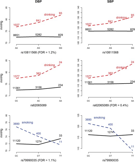 Plots of SNP × alcohol or SNP × smoking interaction effects on DBP and SBP Controlling the resampling FDR at 5%, we found an rs10811568 × alcohol interaction on DBP, rs62065089 × alcohol interaction on SBP and rs79990035 × smoking interaction on DBP. As shown in these plots, these identified interaction patterns in DBP/SBP are similar to those in SBP/DBP. The black curves depict the mean of DBP/SBP among the nondrinkers/nonsmokers, whereas the red/blue dashed curves depict the mean among the drinkers/smokers. The number shown on each point represents the sample size of that category.