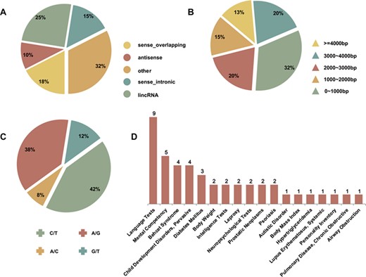 The quantitative annotations of secondary structure variation related lncRNAs, SNPs and diseases. (A) Five categories of disease-associated lncRNAs. (B) The full-length structure characteristic of disease-associated lncRNAs. (C) The distribution of disease-associated SNPs. (D) The number distribution of lncRNA–SNP pairs in diverse human diseases.