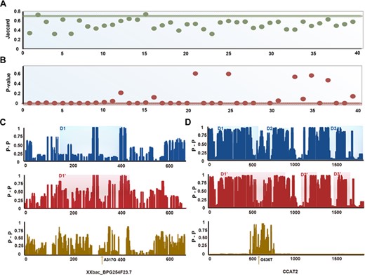 The quantitative variations ofWT and mutant lncRNA domains. (A, B) The Jaccard index (A) and Wilcoxon rank–sum test P-value (B) of WT and mutant-lncRNA domains. (C) The pairing probability and the difference of WT and mutant lncRNA XXbac_BPG254F23.7 and functional domains. (D) The pairing probability and the difference of WT and mutant lncRNA CCAT2 and functional domains.