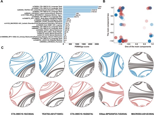 Global secondary structural variation of lncRNAs mediated by SNPs. (A) The global PSMAlign score of WT and mutant lncRNAs. (B) The structural principle component of disease-associated lncRNAs. The paired blue and red bubbles with same concentrations represent wild and mutant lncRNAs, respectively. (C) The circular structural diagram of five lncRNAs which have a significant diversity in global level. The arched line represents the base pairing between two nucleotides. The color of blue and red represents wild and mutant type, respectively.