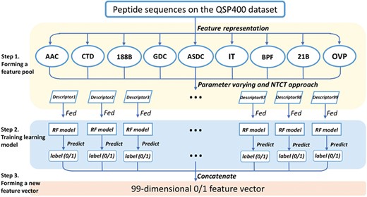 Pipeline of the feature representation learning scheme. Firstly, a feature pool with 99 feature descriptors is constructed by nine feature-encoding algorithms and the NT-CT approach. Afterwards, each descriptor is trained and evaluated using the RF classifier on the QSP400 dataset. Finally, the predicted class label for each trained RF model is regarded as an attribute to form a new feature vector.