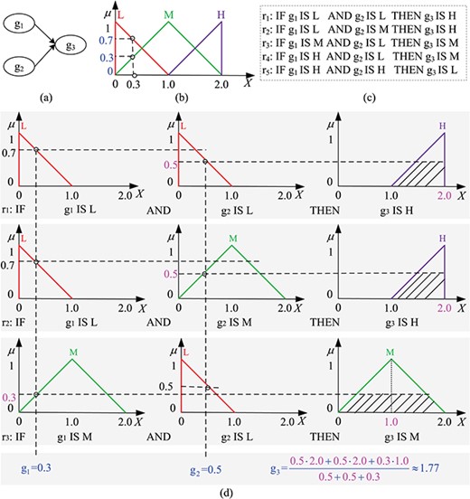 A fuzzy inference system example. (a) A three-gene network, which is used to study how two genes, g${}_1$ and g${}_2$, affect another gene, g${}_3$. (b) The membership functions of three linguistic terms: L (Low, red), M (Medium, green) and H (High, purple), each being associated with a TFN. Each gene could have a different linguistic term set; in this example we use the same linguistic terms for the three genes. We assume the expression level of each gene ranges from 0 to 2. A crisp expression level of any gene, e.g. 0.3, is converted to a fuzzy value, (0.7,0.3,0), which means that the membership degrees of the value 0.3 belonging to L, M and H are 0.7, 0.3 and 0, respectively, i.e. ${{\mu } _{\text {L}}}(0.3)=0.7$, ${{\mu } _{\text {M}}}(0.3)=0.3$ and ${{\mu } _{\text {H}}}(0.3)=0$. (c) The user-defined fuzzy rules for the three-gene network forming the FIS rule base. (d) A complete reasoning process of the example; g${}_1=0.3$ and g${}_2=0.5$ yield g${}_3=1.77$.
