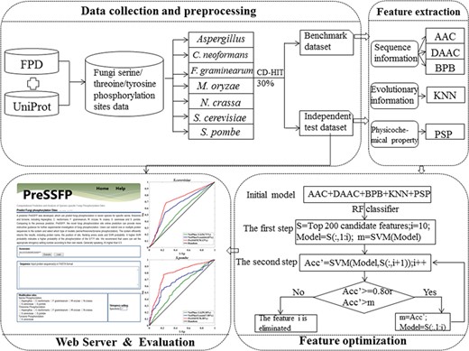 The overall framework of PreSSFP.