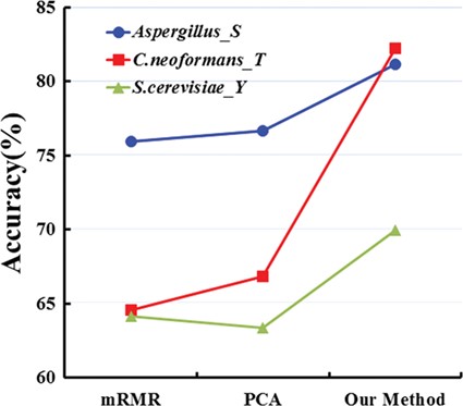 Accuracies of our method with mRMR and PCA for serine phosphorylationin Aspergillus, tyrosine phosphorylation in S. cerevisiae and threonine phosphorylation in C. neoformans, respectively.