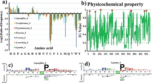 (a) Comparison of AAC between serine phosphorylation sites and non-phosphorylation sites for seven organisms. The vertical axis denotes the log2 ratio of the averages of amino acid frequencies for phosphorylation and non-phosphorylation sites. (b) Difference in 544 physicochemical properties based on IG scores. Two-sample Logos of composition biases around serine phosphorylation sites compared to the non-phosphorylation sites for (c) Aspergillus and (d) S. pombe.