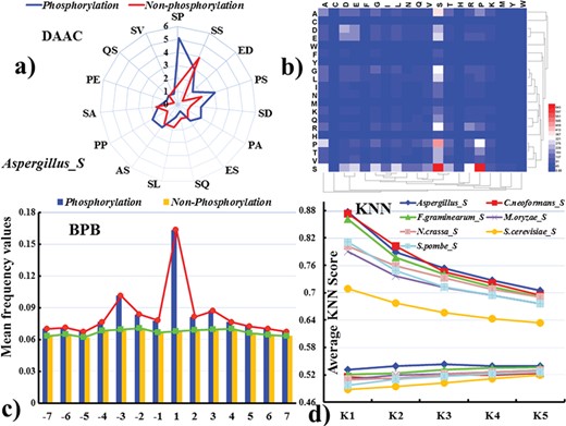 (a) Radar map for the 15 most important pairs of DAAC on the basis of two-step feature optimization. The primary axis refers to the number of occurrences in the positive and negative samples with the unit of 100. (b) Heat map for the DAAC scores of amino acid pair composition. (c) Difference in the average frequency value of each amino acid in the positive training datasets for serine phosphorylation in Aspergillus on different positions. (d) Comparison of mean KNN scores between threonine phosphorylation sites and non-phosphorylation sites. The vertical axis represents the average KNN scores. The horizontal axis represents numbers of nearest neighbors in positive and negative samples.