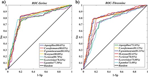 Performance evaluation of PreSSFP. The ROC curves and AUC values for 10-fold cross-validations of the training dataset for seven organisms. (a) Serine phosphorylation. (b) Threonine phosphorylation.