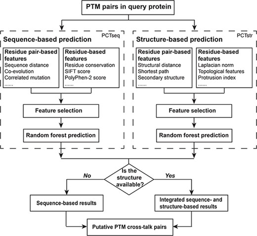Flowchart of PCTpred. Our algorithm comprises two modules, namely PCTseq and PCTstr, which are further combined to build PCTpred.