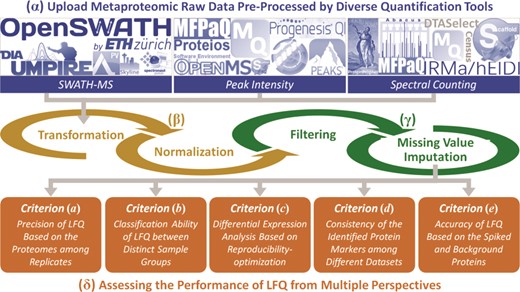 The standard workflow of ANPELA: (α) uploading the raw metaproteomic data preprocessed by 18 quantification tools; (β) data transformation and normalization; (γ) data filtering and imputation; and (δ) the multifaceted performance evaluation from five different perspectives.
