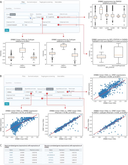 Data visualization for gene quantities. (A) Box plots for differential quantities. Several input queries, such as genes, type of quantities (linear CNAs, expression and DNA methylation) and grouping condition by specific subgroup, were used. (B) Correlation analysis for the different input queries, such as gene expression and linear CNAs, in a specific subgroup. (C) Lists of positively (r < 0.3) or reversely (r < −0.3) correlated genes with a specific gene (ERBB2) screened using CTGS.