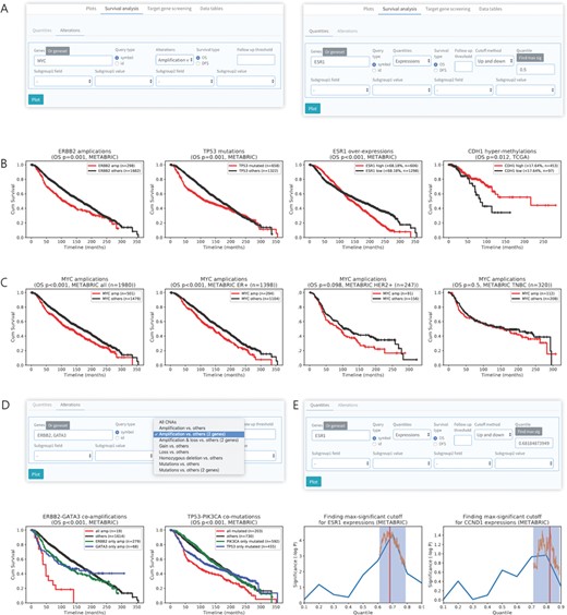 Survival analysis based on multi-omics data analysis. (A) User interface for survival analysis by genetic alterations (left) and quantities (right). (B) Survival analysis on METABRIC or TCGA data set of breast cancer patients by various genetic aberrations including gene amplification (ERBB2), mutation (TP53), overexpression (ESR1) and DNA hypermethylation (CDH1). (C) Survival analysis curves for different subtypes of breast cancers according to MYC amplification. (D) Survival analysis of breast cancer patients in combined groups of two genes with genetic alterations. An example of co-amplification (left) and co-mutations (right) that exhibit synergistic effect on survival outcome is shown. (E) Method for finding max-significant cutoff for survival analysis by gene expression. The blue boxes and orange lines indicate significant regions found sparsely and cutoff point in the region, respectively.
