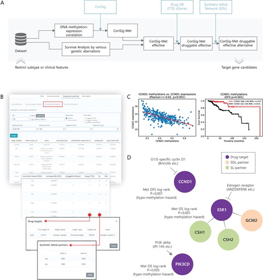 Target gene screening for DNA methylation. (A) A pipeline diagram for screening of cancer target genes with DNA methylation. (B) User interface (top 20 genes; ER+ subtype) and the result of finding DNA methylation target candidates in TCGA. (C) Correlation between methylation and expression of nominated target CCND1 (left) and the effect of CCND1 methylation on the DFS of ER+ breast cancer patients (right). (D) Drugs and SL/SDL partners are presented for the nominated target genes with DNA methylation.