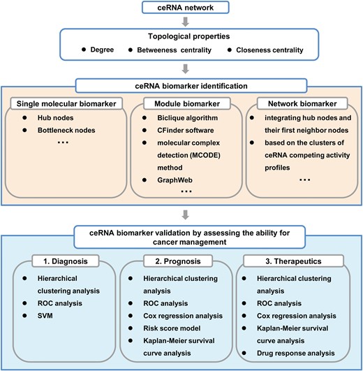 Computational strategies for biomarker discovery based on ceRNA network analysis.