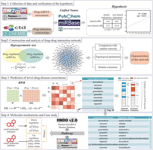 Framework overview. Step 1: We collected the validated drug-miRNA and drug–disease associations and validated the hypothesis that if two drugs regulate more common miRNAs, they are more likely to be associated with the same diseases. Step 2: We constructed the drug–drug interaction network based on common miRNAs and performed topological analysis. Step 3: We predicted the novel drug–disease associations using RWR and evaluated the performance. Step 4: We explained the modes of action of drugs from the perspective of miRNA regulation.