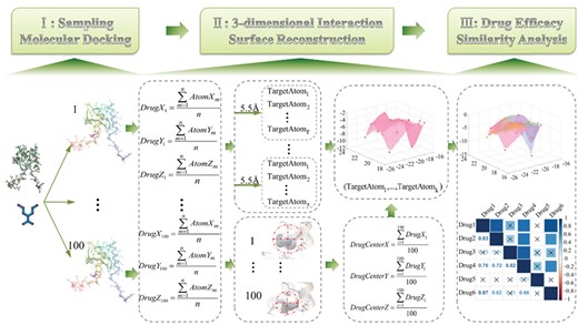 Pipeline of the SMDA method. The three main parts are as follows: (I) molecular docking—randomly select spatial conformations after performing drug–target docking; (II) three-dimensional interaction surface reconstruction—calculate the DTIC and determine the 3-dimensional interaction surface construction atoms; and (III) similarity analysis—drug efficacy analysis based on the spatial position of the DTIC.