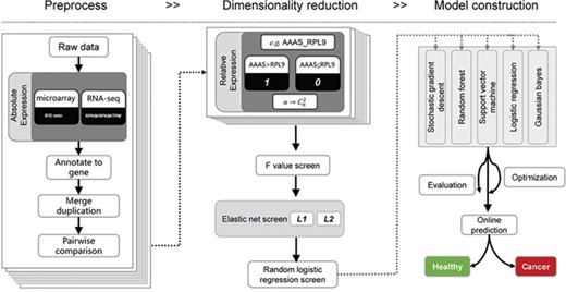 Schematic overview of the relative expression-based model for liquid biopsies. First, expression intensity from either microarray or RNA-seq is pre-processed for pairwise comparison between any of the two genes. Then, the relative expression value (0/1) is recorded as new variables are presented for dimensionality reduction. Lastly, a prediction model was constructed based on relative expression value.