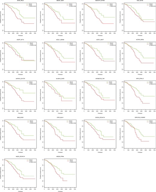 Kaplan–Meier overall survival analysis of breast cancer based on gene pairs using mRNA signatures from TCGA.