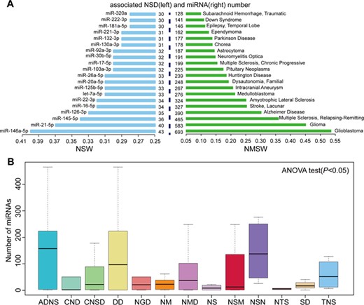 Summaries of the roles of miRNAs in NSDs. (A) The top 20 NSWs (left) and NMSWs (right). (B) Box plot of miRNA distribution in NSD sub-categories. ADNS, autoimmune diseases of the nervous system; CNSD, central nervous system diseases; CND, cranial nerve diseases; DD, demyelinating diseases; NSM, nervous system malformations; NSN, nervous system neoplasms; NS, neurocutaneous syndromes; NGD, neurodegenerative diseases; NM, neurological manifestations; NMD, neuromuscular diseases; NTS, neurotoxicity syndromes; SD, sleep disorders; TNS, trauma, nervous system.