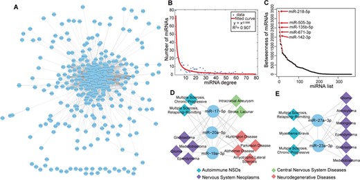 Synergistic regulation of miRNAs in NSD. (A) The human NSD-associated miRNA–miRNA network. Circles represent miRNAs. The line between two miRNAs indicates that they are significantly shared NSDs. (B) The curve fitting of miRNA degree distribution. The x-axis represents miRNA degree and the y-axis represents the number of miRNAs. (C) The miRNA betweenness distribution of the HNMN. The top five miRNAs regarding betweenness are indicated in the plot. (D) and (E) Two examples of clustered miRNA pairs that are synergistically involved in NSDs.
