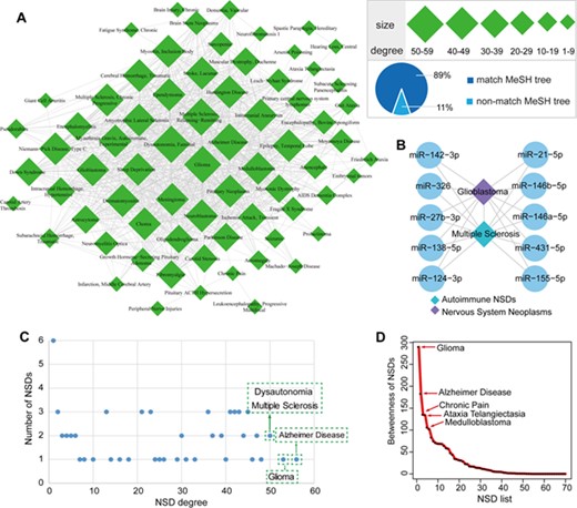 The HNNN and its global properties. (A) The human NSD–NSD network. Quadrilaterals represent NSDs, and the size of the nodes corresponds to the node degree. The line between two NSDs indicates that they significantly share common miRNAs. (B) GBM and MS are connected by sharing immune-regulatory miRNAs. (C) Scatter plot of NSD degree distribution. The x-axis represents NSD degree and the y-axis represents the number of NSDs. The top four NSDs regarding degrees are indicated in the plot. (D) The NSD betweenness distribution of the HNNN. The top five NSDs regarding betweenness are indicated in the plot.