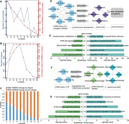 The modular structure of the HNMN. (A) The number of communities and the number of miRNAs in communities at different k-values. The left blue y-axis represents the number of communities at different k-values, corresponding to the blue line. The right red y-axis represents the number of miRNAs in communities at different k-values, corresponding to the red line. (B) The number of cliques and cumulative ratios of miRNAs in cliques at different k-values. The left blue y-axis represents the number of cliques at different k-values, corresponding to the blue line. The right red y-axis represents cumulative ratios of miRNAs in cliques at different k-values, corresponding to the red line. (C) The fraction of NSD miRNAs mapped in cliques (blue) and not mapped in cliques (orange) at different k-values. (D) All of the 10 miRNAs in miRNA clique 119 are co-involved in four brain tumors. (E) Pathway enrichment analysis (left) and GO annotation (right) of miRNAs’ targets in miRNA clique 119. (F) All of the 3 miRNAs in miRNA clique 1176 are co-involved in cerebrovascular disease and autoimmune NSDs. (G) Pathway enrichment analysis (left) and GO annotation (right) of miRNAs’ targets in miRNA clique 1176.