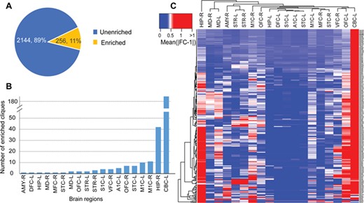 Regional expression profiles of the miRNA cliques in the brain. (A) Proportion of miRNA cliques enriched in various regions of the brain. (B) Distribution of enriched miRNA cliques in different brain regions. (C) The heatmap of differentially expressed miRNA cliques in different brain regions. AMY, amygdaloid complex; DFC, dorsolateral prefrontal cortex; HIP, hippocampus; MD, mediodorsal nucleus of thalamus; MFC, anterior (rostral) cingulate (medial prefrontal) cortex; STC, posterior (caudal) superior temporal cortex; OFC, orbital frontal cortex; STR, striatum; S1C, primary somatosensory cortex; VFC, ventrolateral prefrontal cortex; A1C, primary auditory cortex (core); M1C, primary motor cortex; CBC, cerebellar cortex; L, left; R, right.