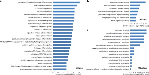 The GO, KEGG, Reactome and NetPath pathway enrichment in the different modules. (a) The enrichment for MEblue. The protein-coding genes coexpressed with the eQTL lncRNAs in this module are mainly related to the leukocyte immune functions, MAPK and IFN. (b) The enrichment for MEgrey. The coexpressed protein-coding genes in this module are mainly related to the folding and binding of the antigen processing and presentation related protein. (c) The enrichment for MEyellow. The coexpressed protein-coding genes in this module are mainly associated with the regulation of IFN. The threshold of significance is set at FDR $q<0.05$. More detailed information is presented in Supplementary Table S6.